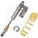 X PACKAGE FRONT SHOCK & SPRING KIT