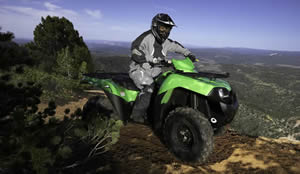 Kawasaki 2008 Brute Force 650 4x4