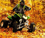 Arctic Cat OEM Parts Diagrams
