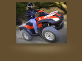 Honda FourTrax Rincon OEM Parts & Accessories