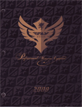 Fly Racing