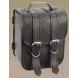 SISSY BAR BAGS