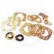COMPLETE GASKET KIT WITH SEALS